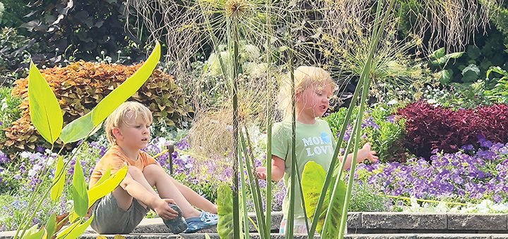 A picture of kids playing among flowers in a garden.