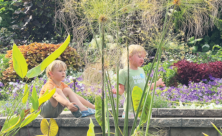A picture of kids playing among flowers in a garden.